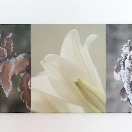 San Sebastiano 4 شقة